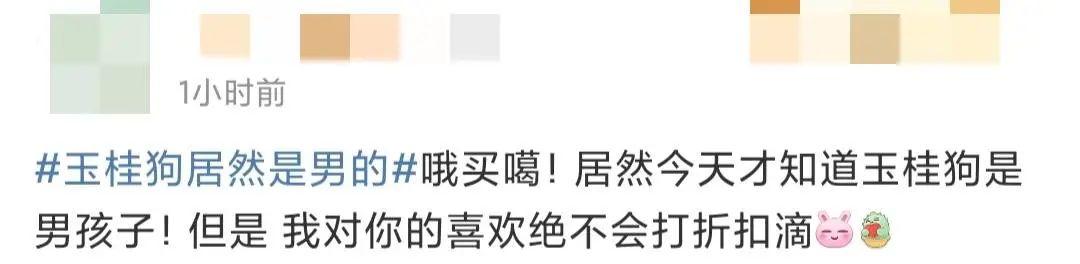 玉桂狗是不是反派,玉桂狗反派角色