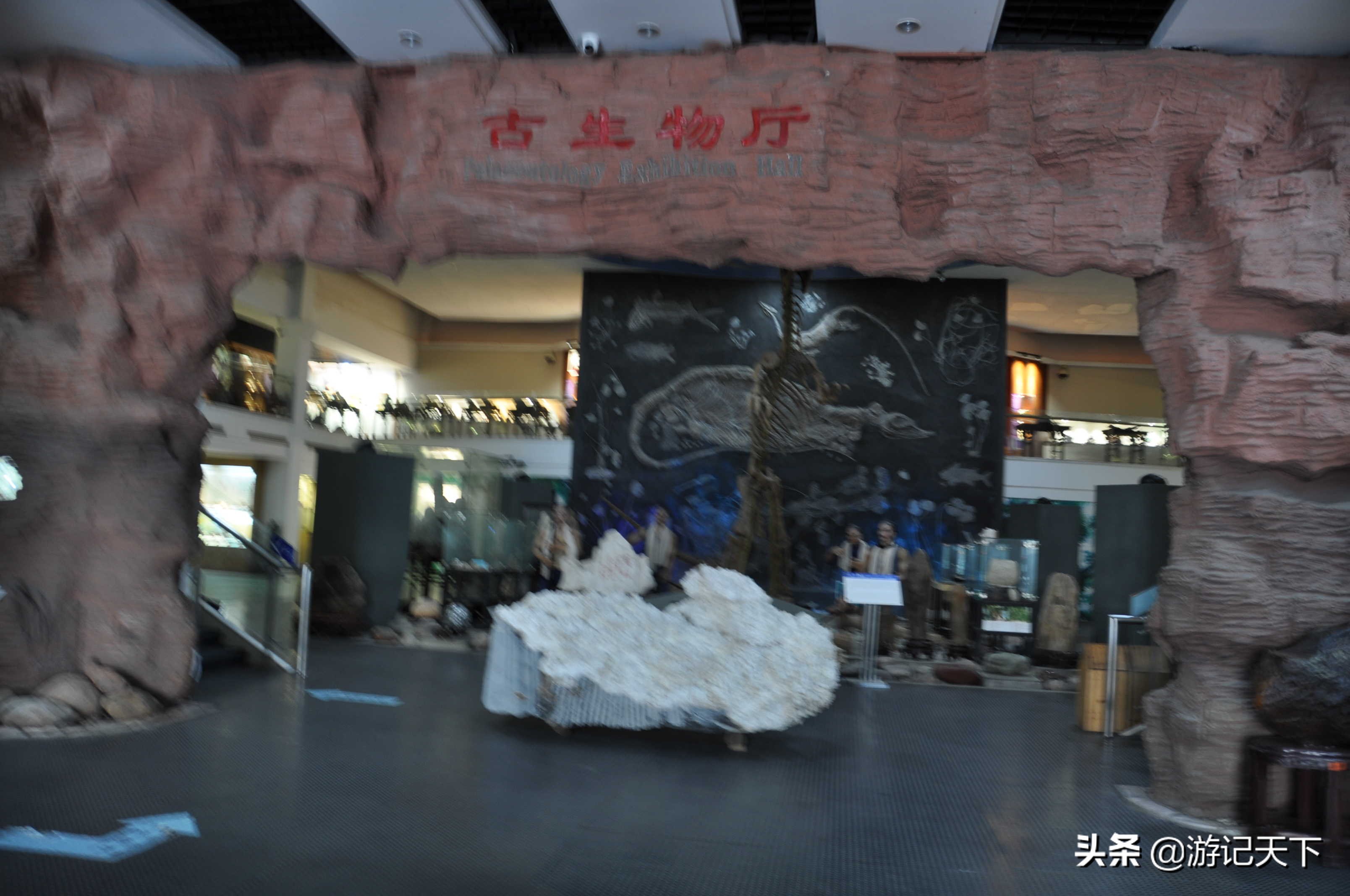 阿尼亚参观博物馆,上海地质科普馆游玩