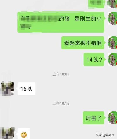 母猪产后消炎用什么药合适,母猪产后打几次消炎针