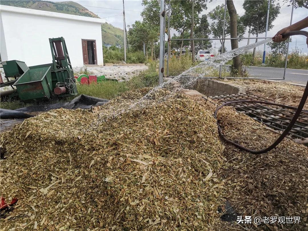 秸秆变废为宝促增收,我为群众办实事捡垃圾美篇