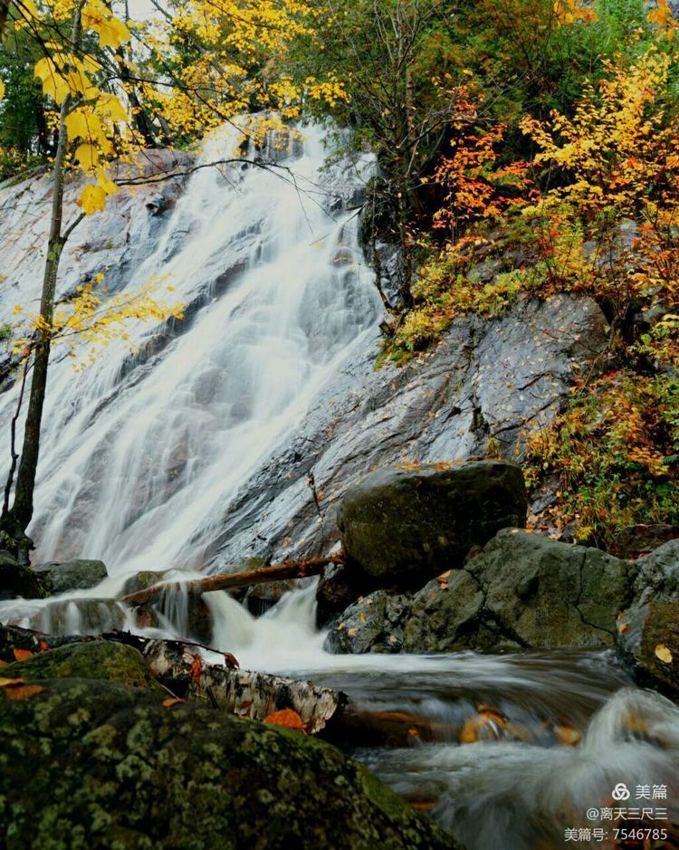 鍖楃編鏋儏閽荤煶姗℃湪,鍖楃編鏋儏鐏攨