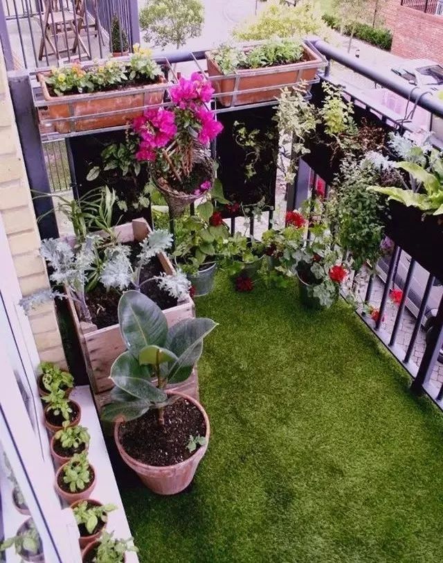 阳台变身小花园总有一款适合你,阳台可以打造成小花园吗