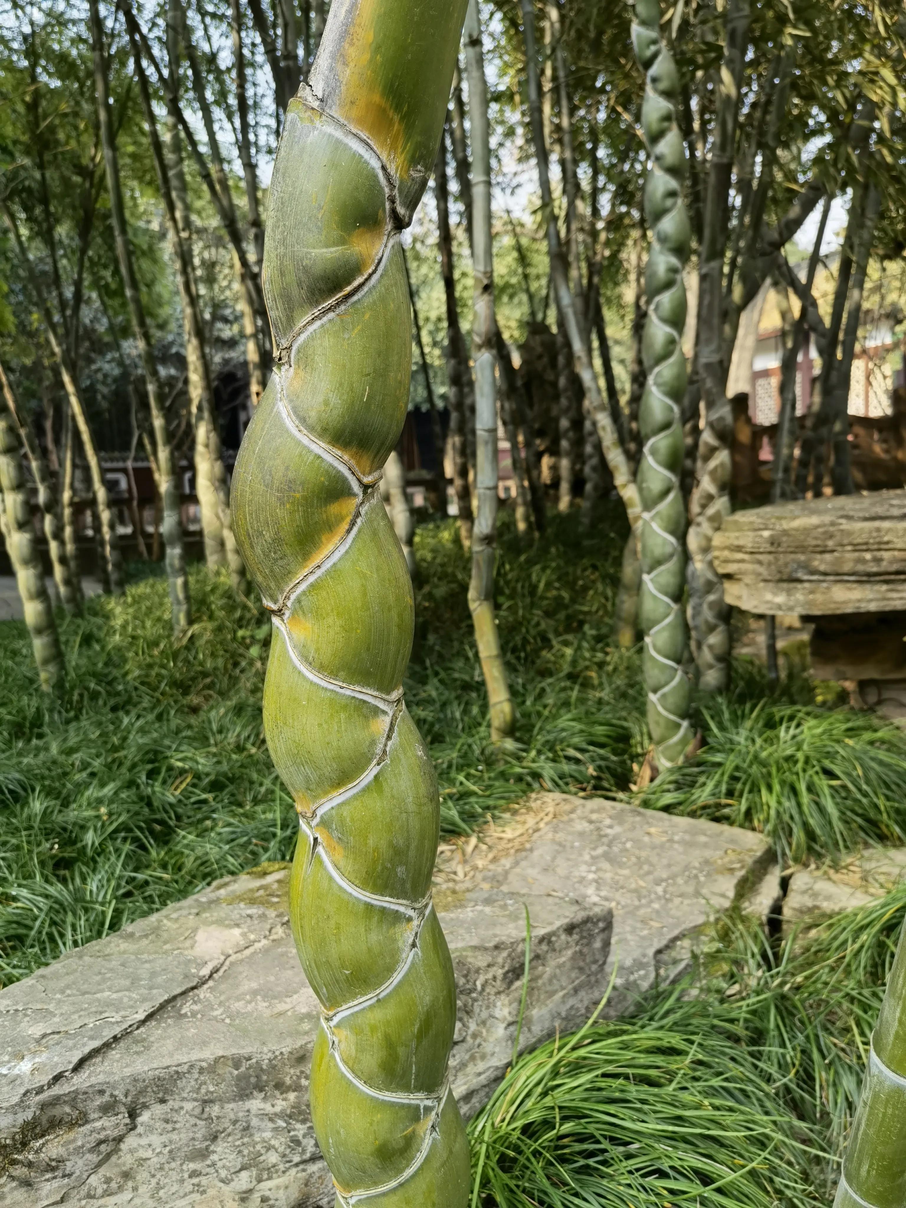 一分钟带你游遍全国,一分钟带你逛完公园