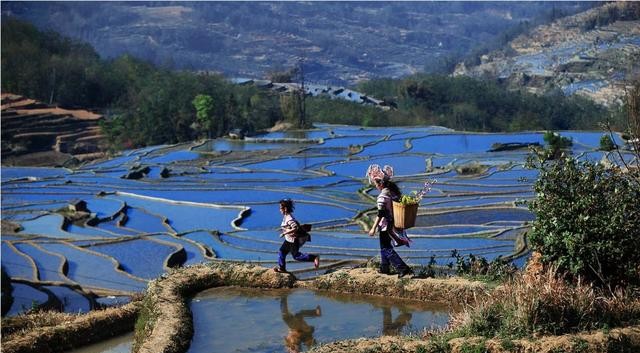 红河探秘,探秘红河