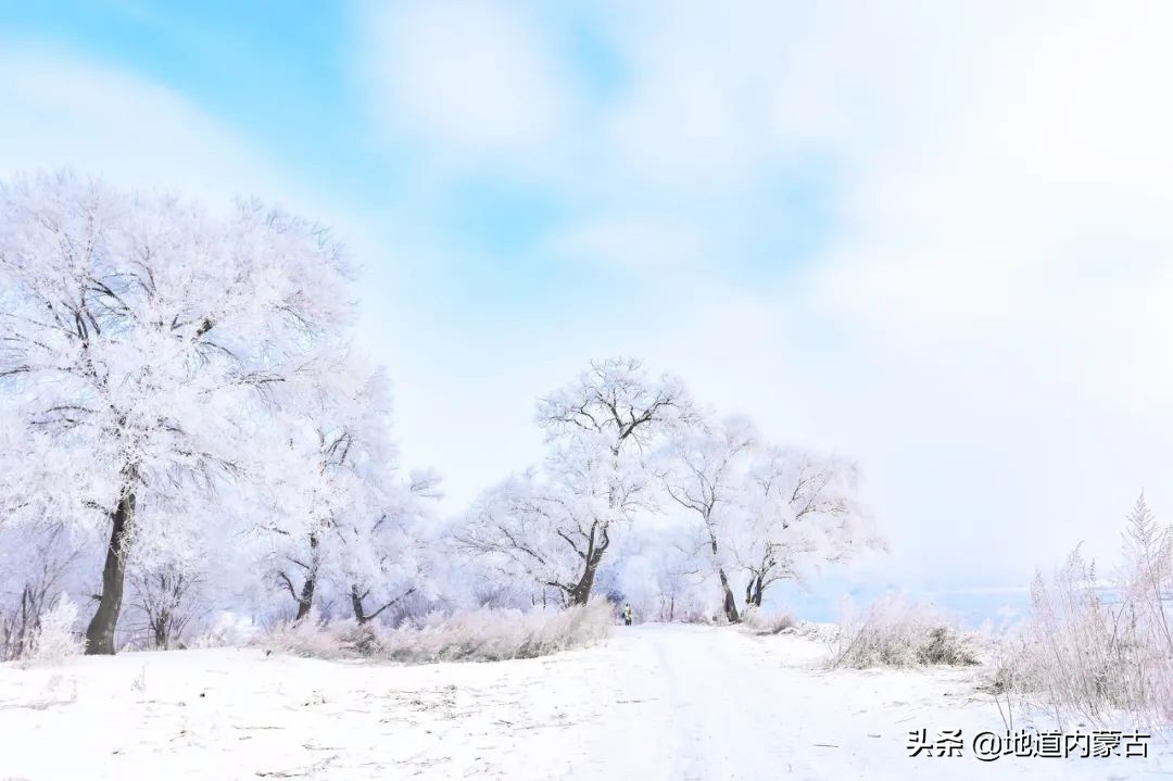 60岁之前要去的十大地方,一生中必去的中国50个最美的地方