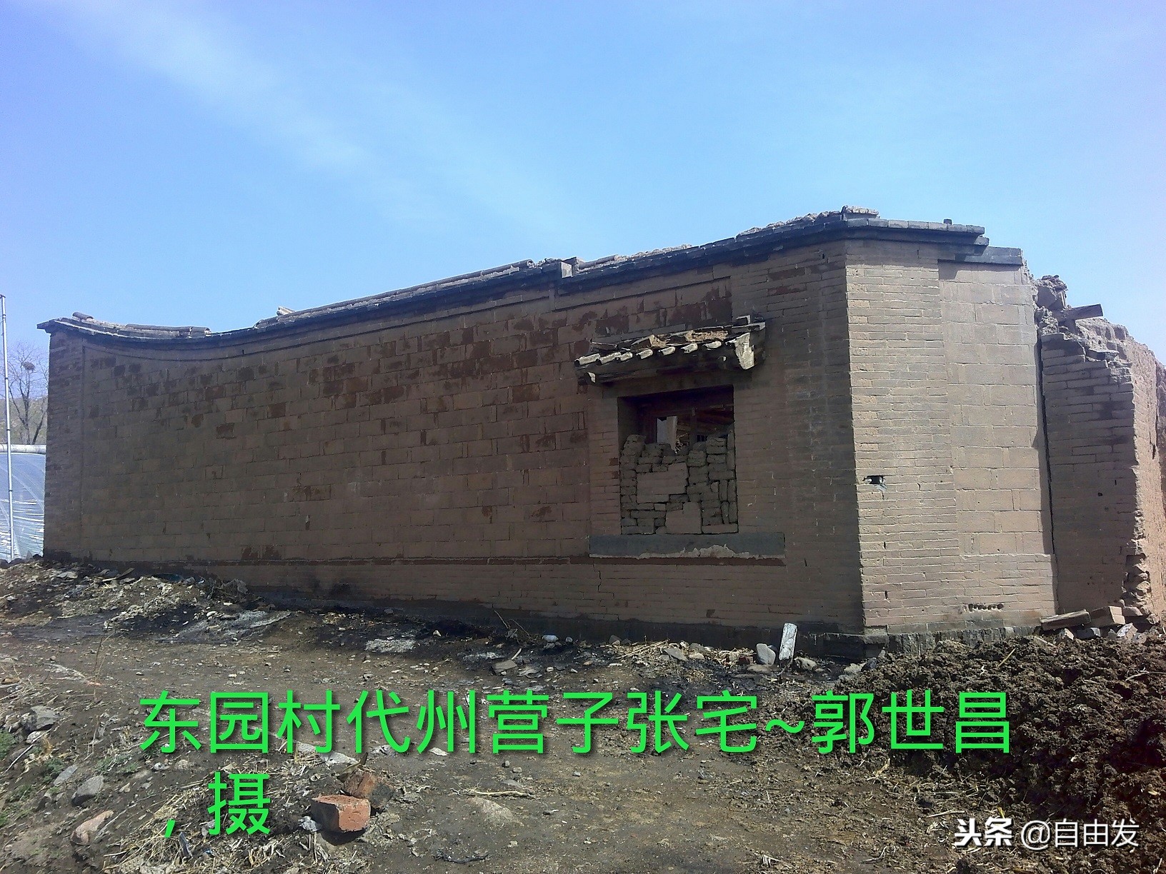 东园青史三百年（一）