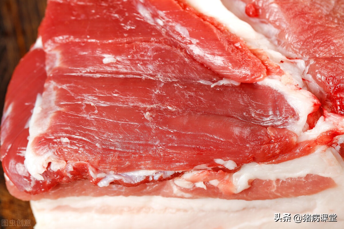 猪囊尾蚴病的发病原因、症状及防治措施探究