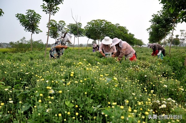 一个真实的故事一首歌音频,一个城市一座小镇的故事