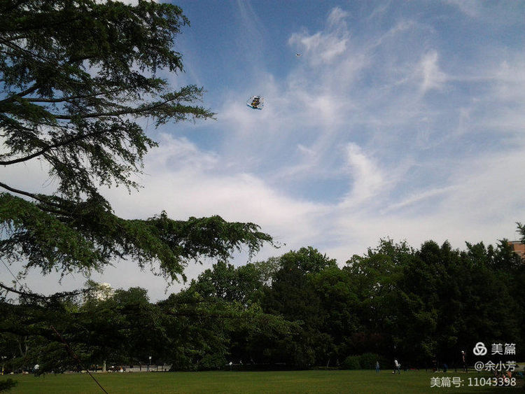 上海中山公园介绍,上海中山公园