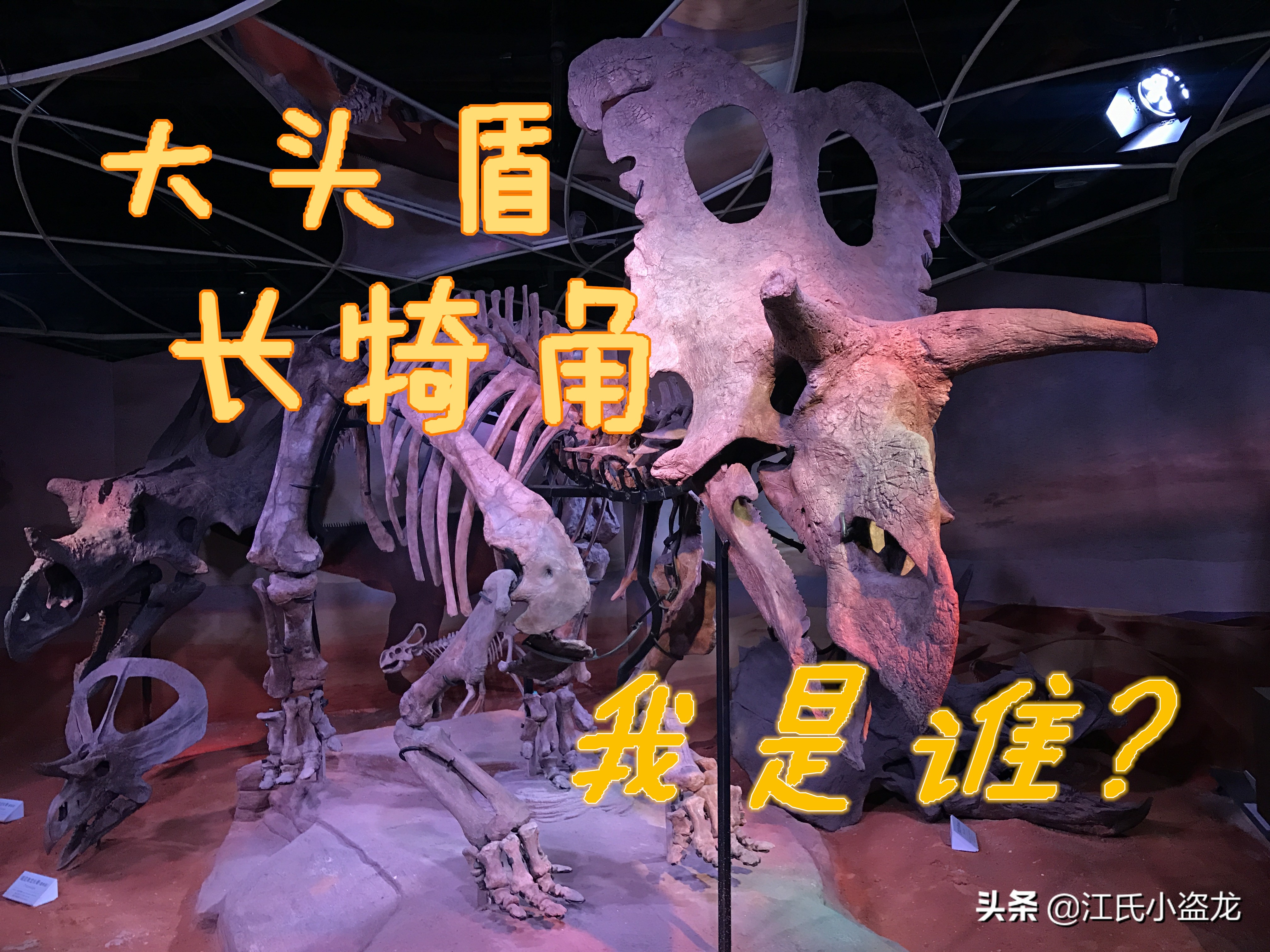 长得跟其他恐龙不一样的恐龙,盘点恐龙界最奇葩的恐龙