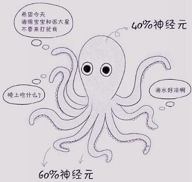 章鱼是最接近外星人的生物吗,章鱼真的能统治世界吗