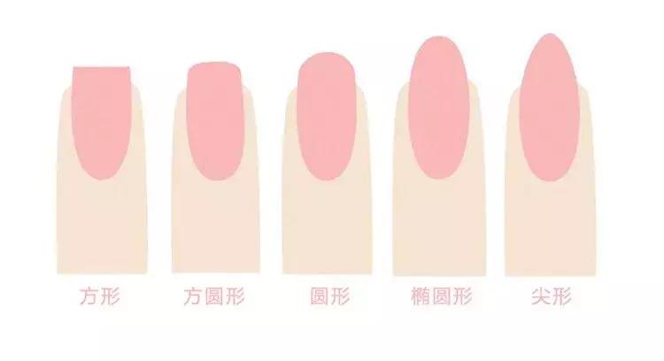 林允被吐槽买东西,林允平价好物分享综艺