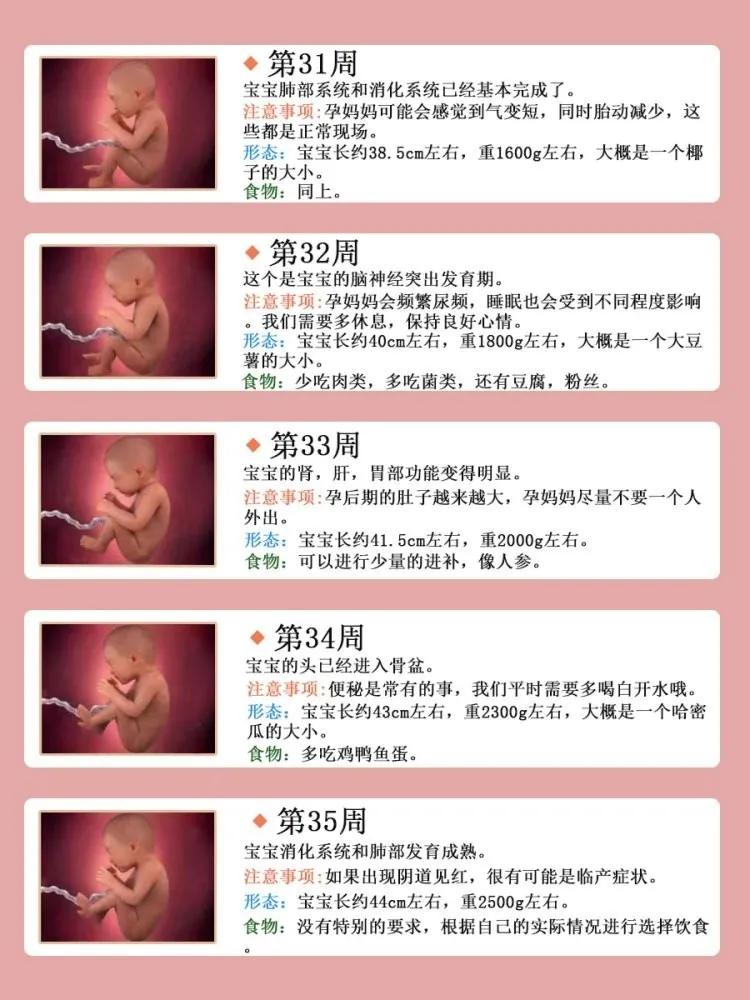 孕期营养补充,孕期营养补充剂排行榜