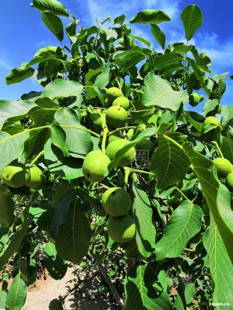 找工作招聘58同城阿克苏,58同城招聘附近找工作阿克苏