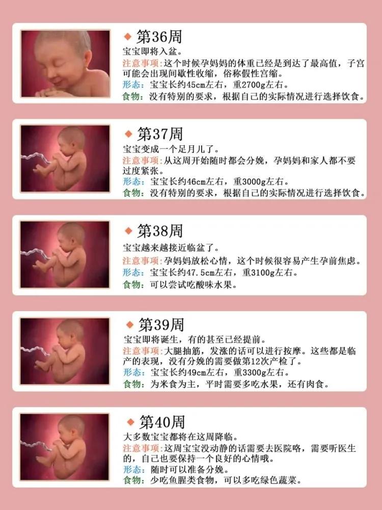 孕期营养补充,孕期营养补充剂排行榜