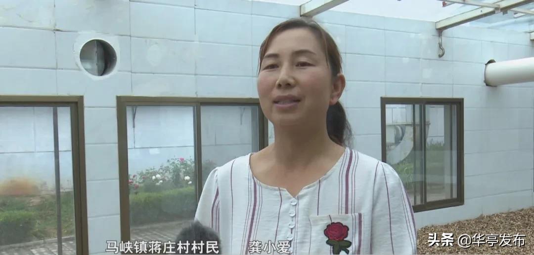 平凉青松中药饮片,华亭市青松中药饮片公司