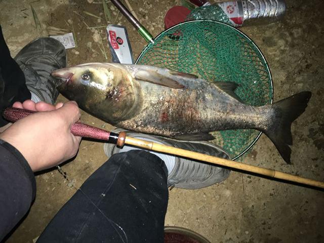 玩并继竿要注意什么,玩并继竿的人