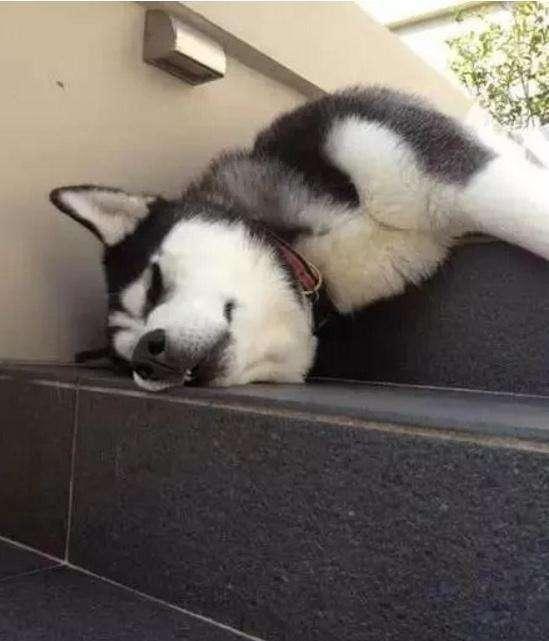 远离颈椎病必备五种技巧,颈椎病用什么枕头睡觉最好