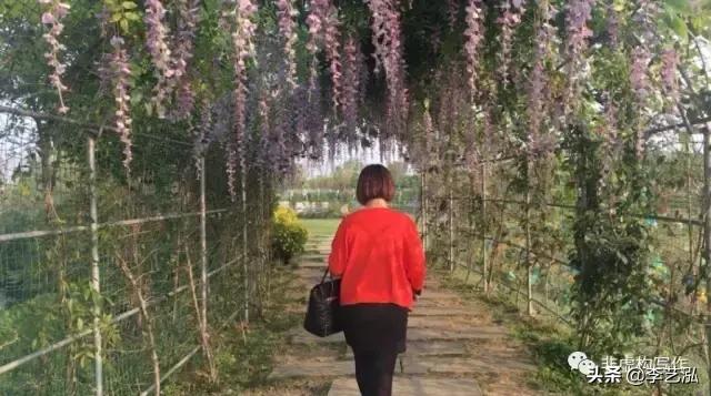 闈炶櫄鏋勭殑鐪熷疄闃呰绛旀,闈炶櫄鏋勭殑鐪熷疄闃呰