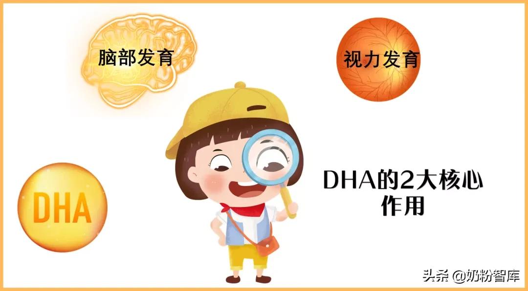 什么样的dha效果比较好,比较好的dha有哪些