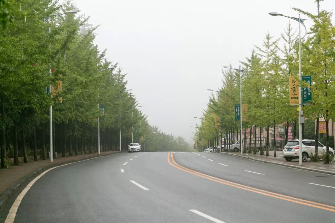 武隆夏季探秘奇特的地缝峡谷,武隆探秘