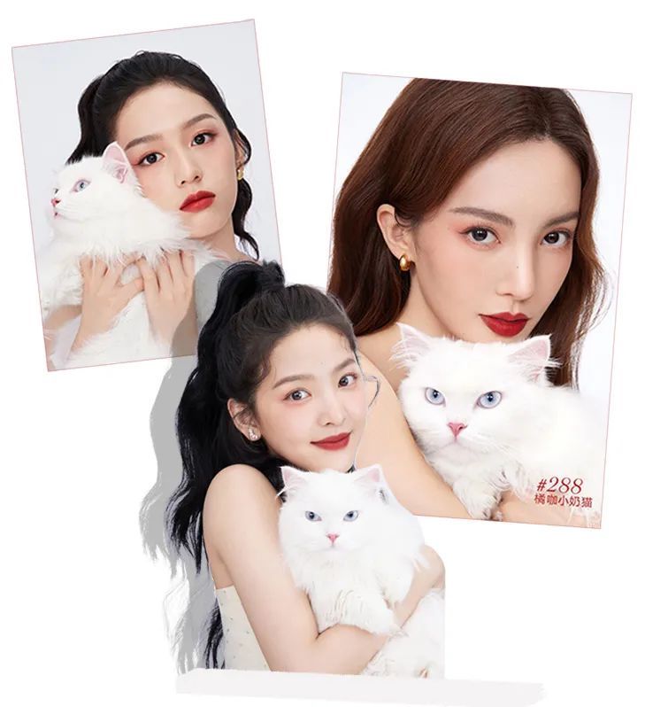 小孩子才做选择我全都要壁纸,小孩子才做选择我全都要的英语