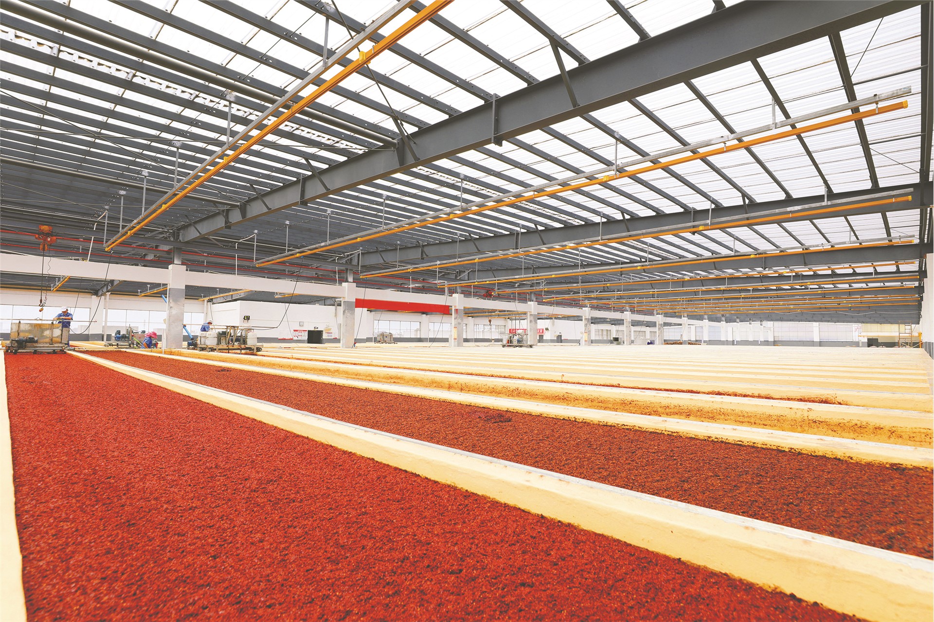 丽通郫县豆瓣酱真的零添加吗,丽通无添加郫县豆瓣酱