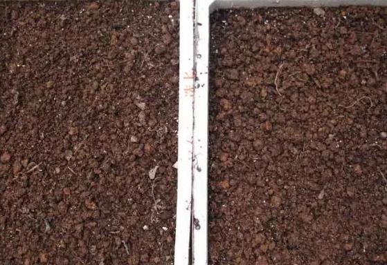 养花用酸性土还是碱性土,找不到煤渣怎么养花