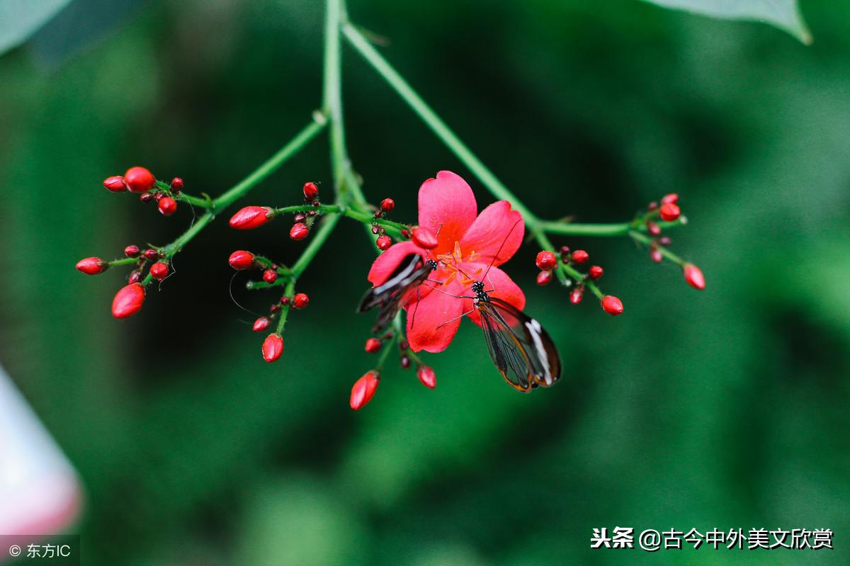 名字这种东西太难取,名字这东西真的很重要吗