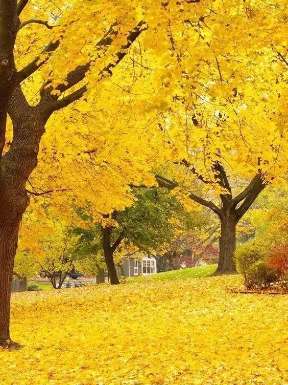 减肥怎么喝水提高新陈代谢,泡脚能促进新陈代谢减肥吗