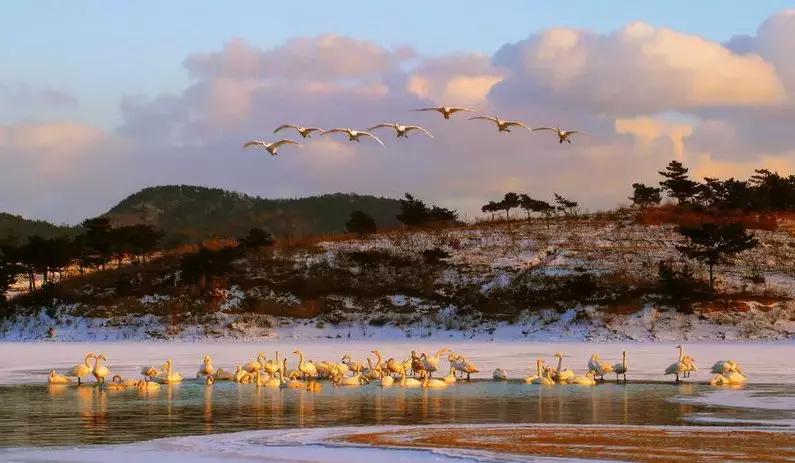 你的房子可以做民宿吗,你的房子真的适合你住吗