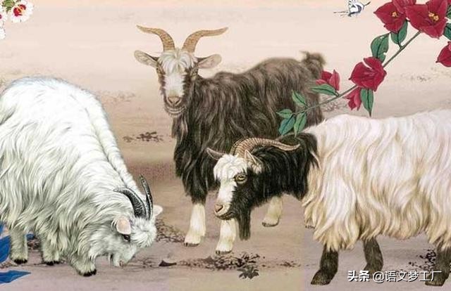 十二生肖的成语和歇后语大全,十二生肖的成语100个二年级