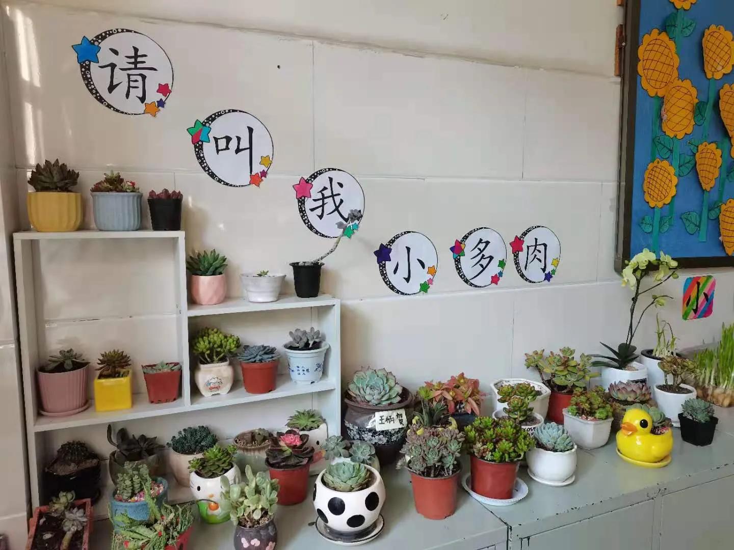 商丘市工学院附属兴华学校六年级,商丘兴华学校2024毕业班优秀学生