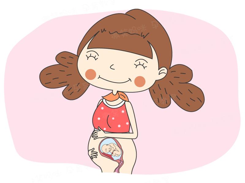 孕期第29周注意事项,孕26周胎儿的睡眠周期