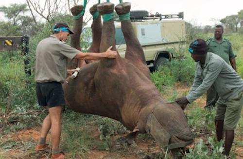 潜艇里杀蟑螂、人类猫语十级，今年的搞笑诺贝尔奖来了