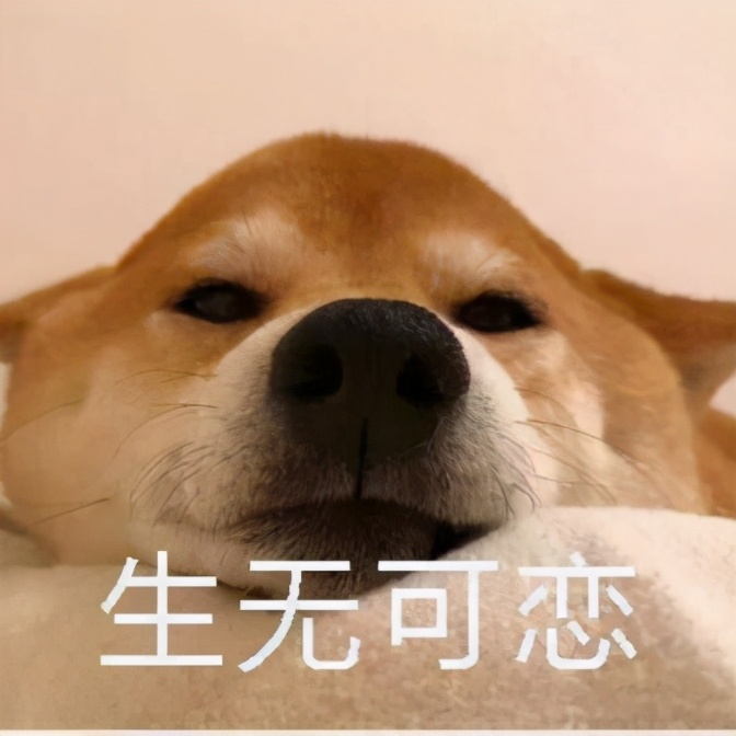 投资失败，5死5伤！远离自杀式投资