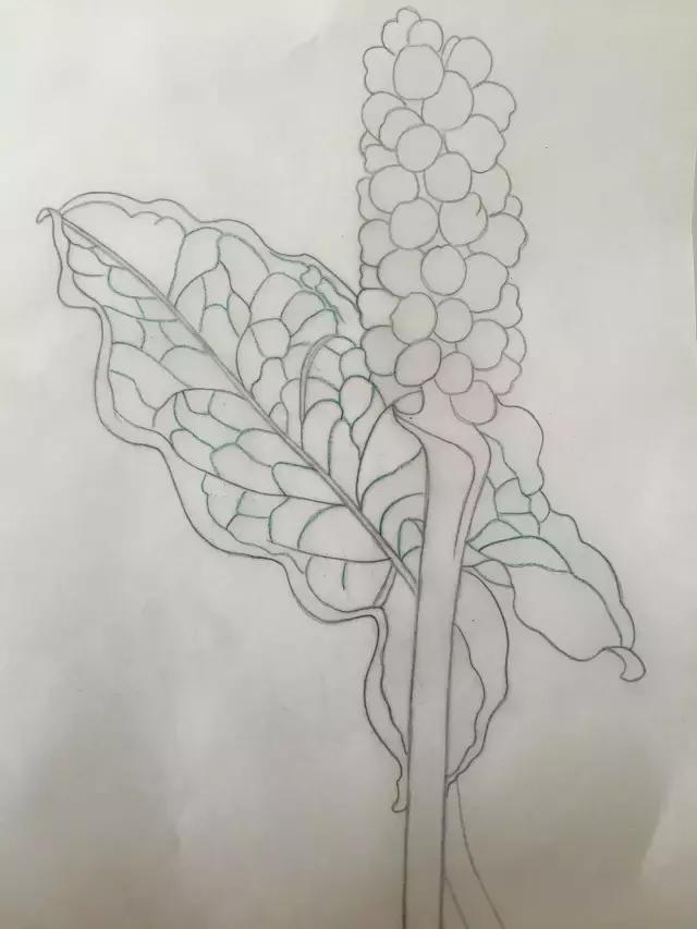 水彩密密麻麻的树叶怎么画,水彩画教程入门叶子