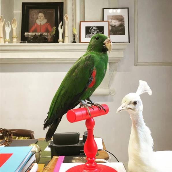 gucci包包的经典元素有哪些,gucci包的经典款