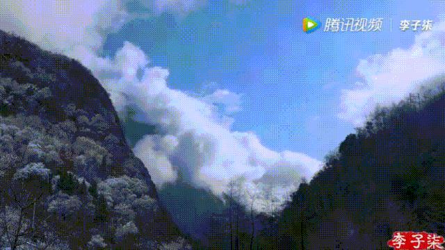 李子柒视频转场技巧,李子柒拍摄视频技巧