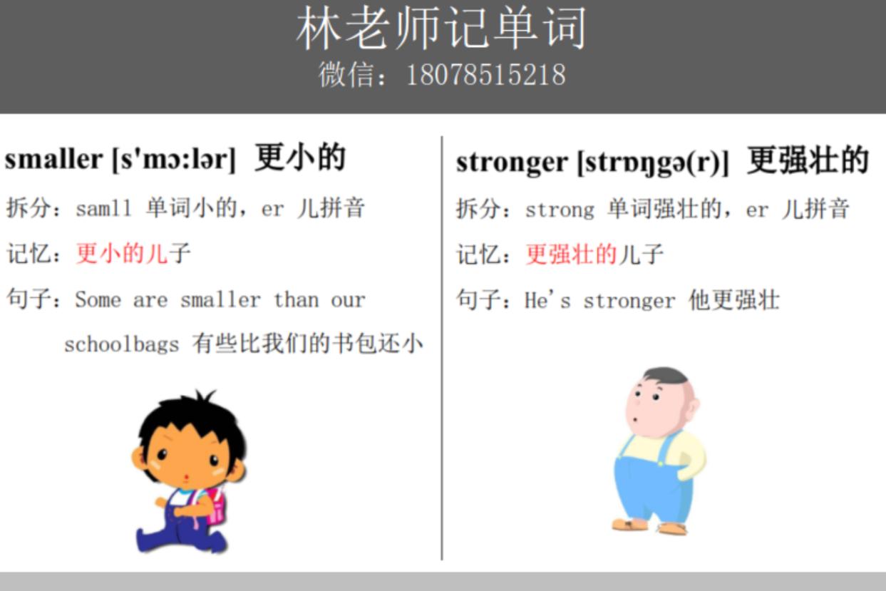 初中英语单词表人教版全套,英语三年级上册英语单词表