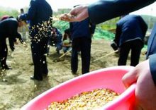 秋分是二十四节气中第几个节气,10月23日秋分节气