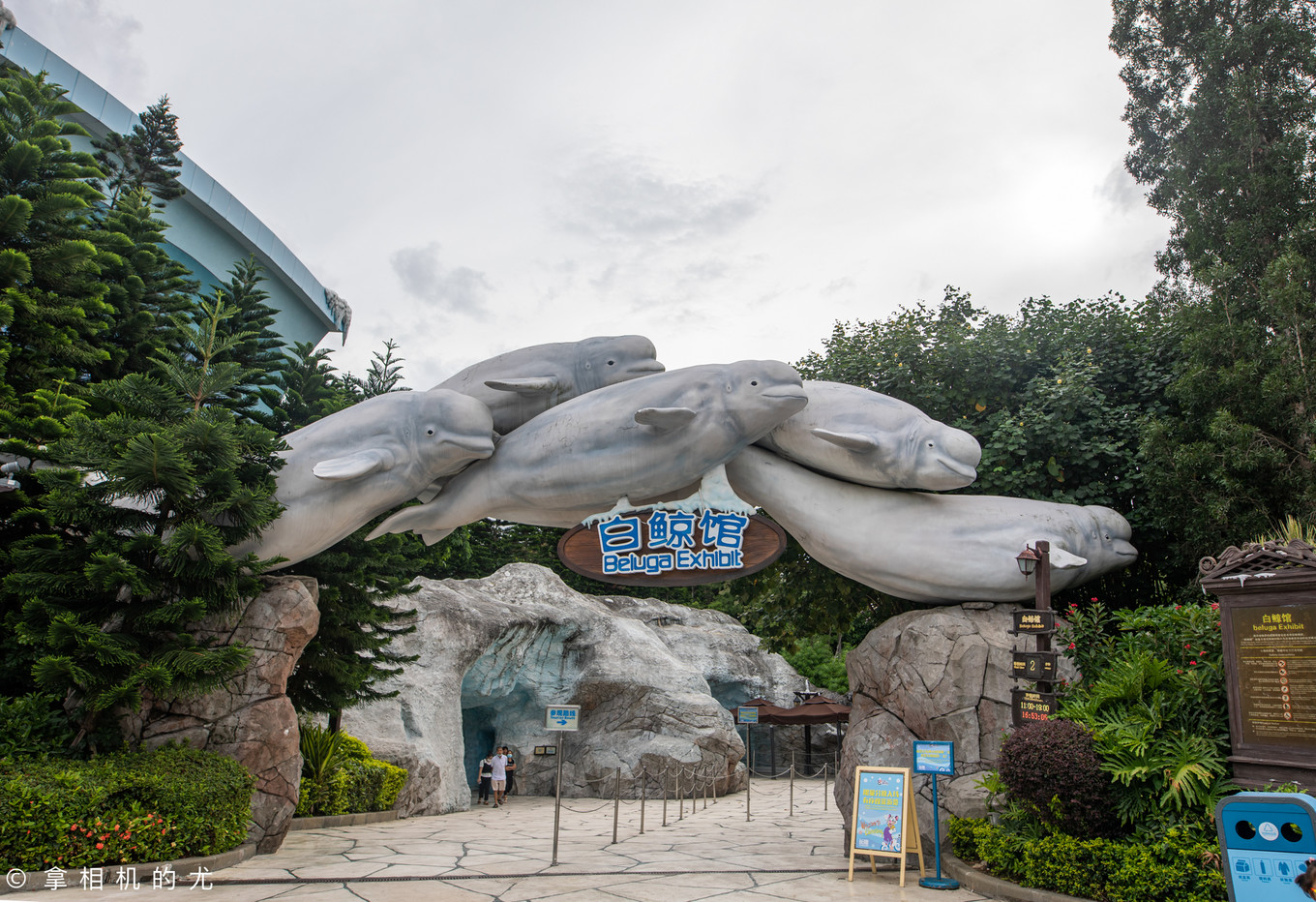 珠海横琴长隆海洋王国游玩全攻略,珠海长隆海洋王国跟香港海洋公园