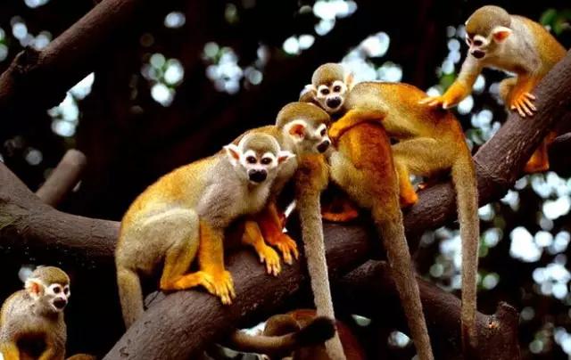 亲子游寒假去哪旅游最好,寒假孩子去哪旅游最好