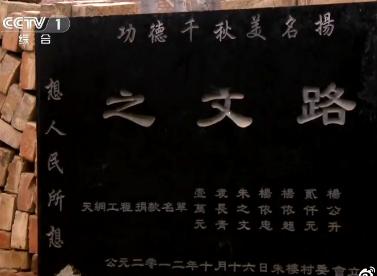 最惨大明星被全村人吸血，穷病他治不起啊！