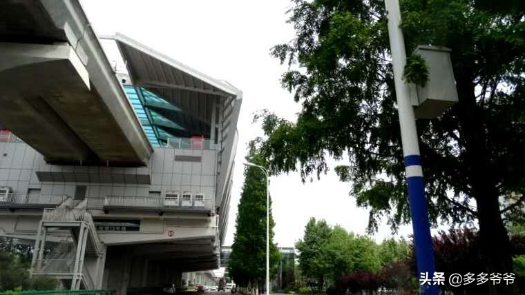 日照文旅,日照天气