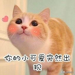 当翻译（口译/笔译）分别大约能赚多少？