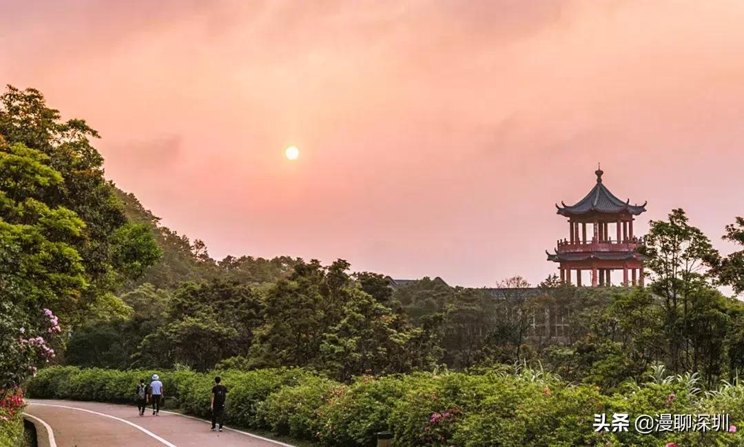 深圳空气中氡含量全国第一,深圳市负氧离子大概是多少