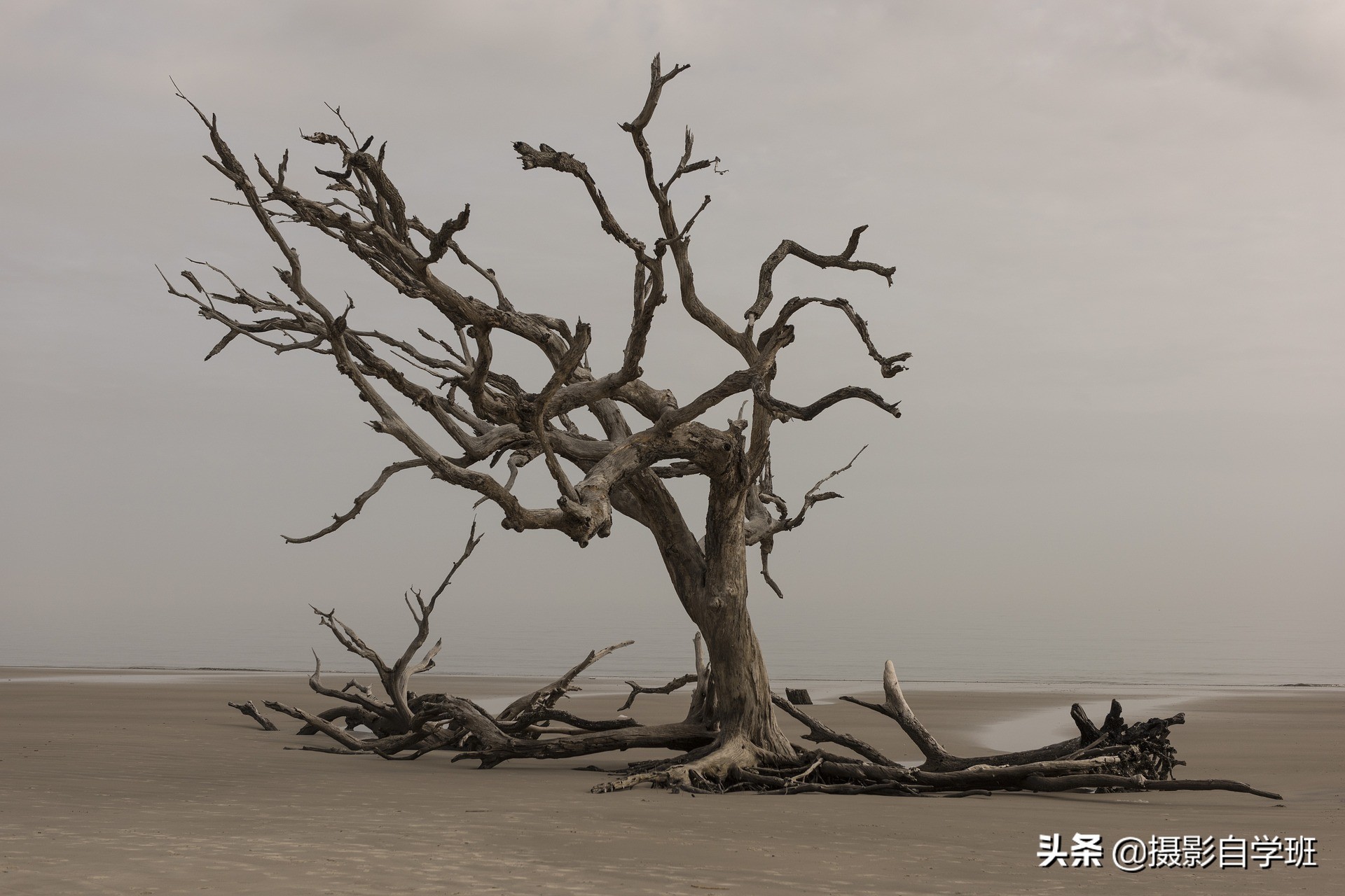 风景摄影技巧超实用,风景摄影拍摄技巧