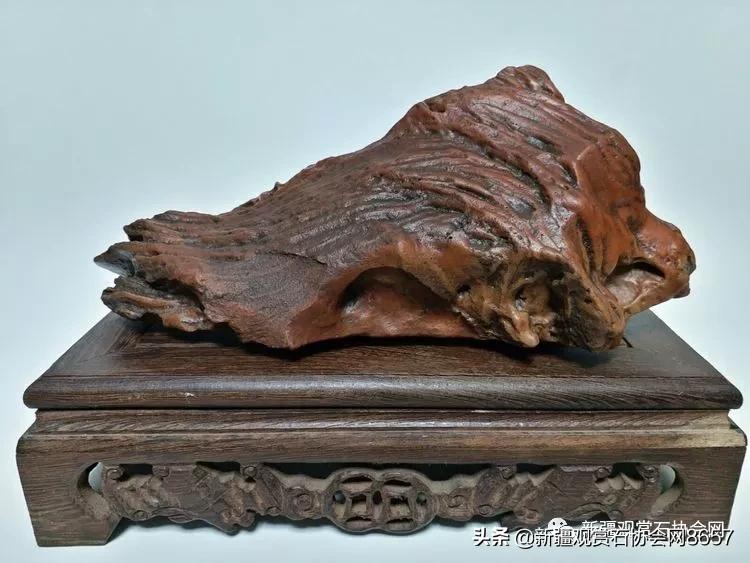 鎴堝鑰佺毊,鎴堝鑰佺毊鍜屾按鏅剁毊