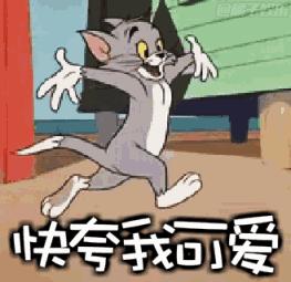 养猫就是抓老鼠吗,还有多少人养猫是为了抓老鼠的